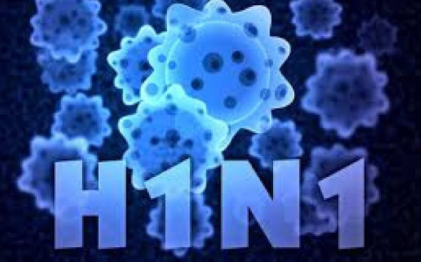 Ảnh 1 của Cúm lợn H1N1